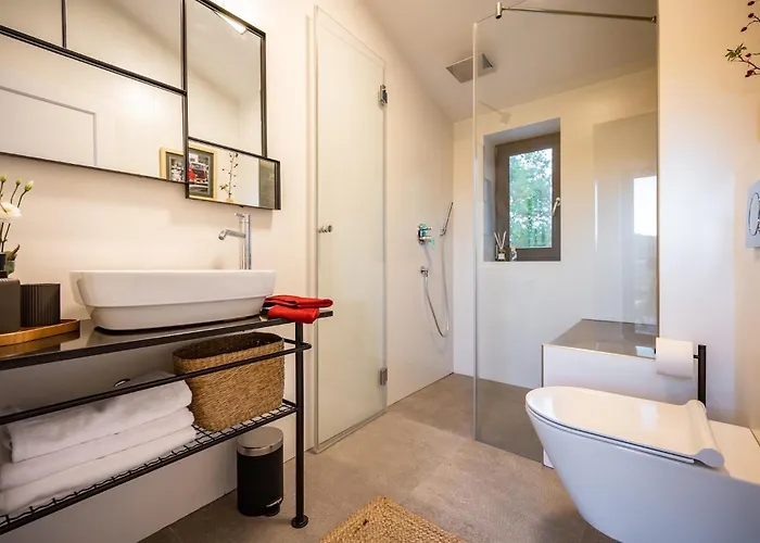 Σπίτι διακοπών Boshka Gračišće